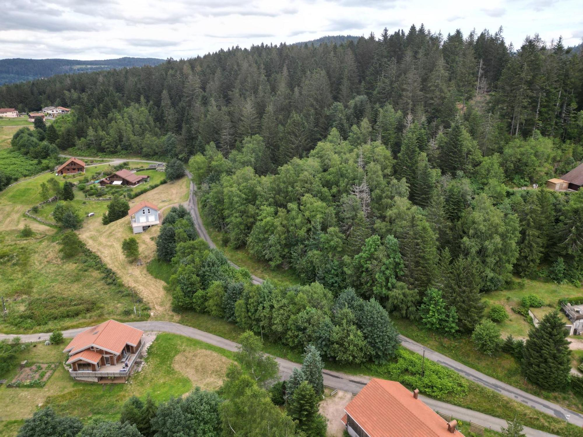 Chalet L'Appel De La Foret Gerardmer Luaran gambar