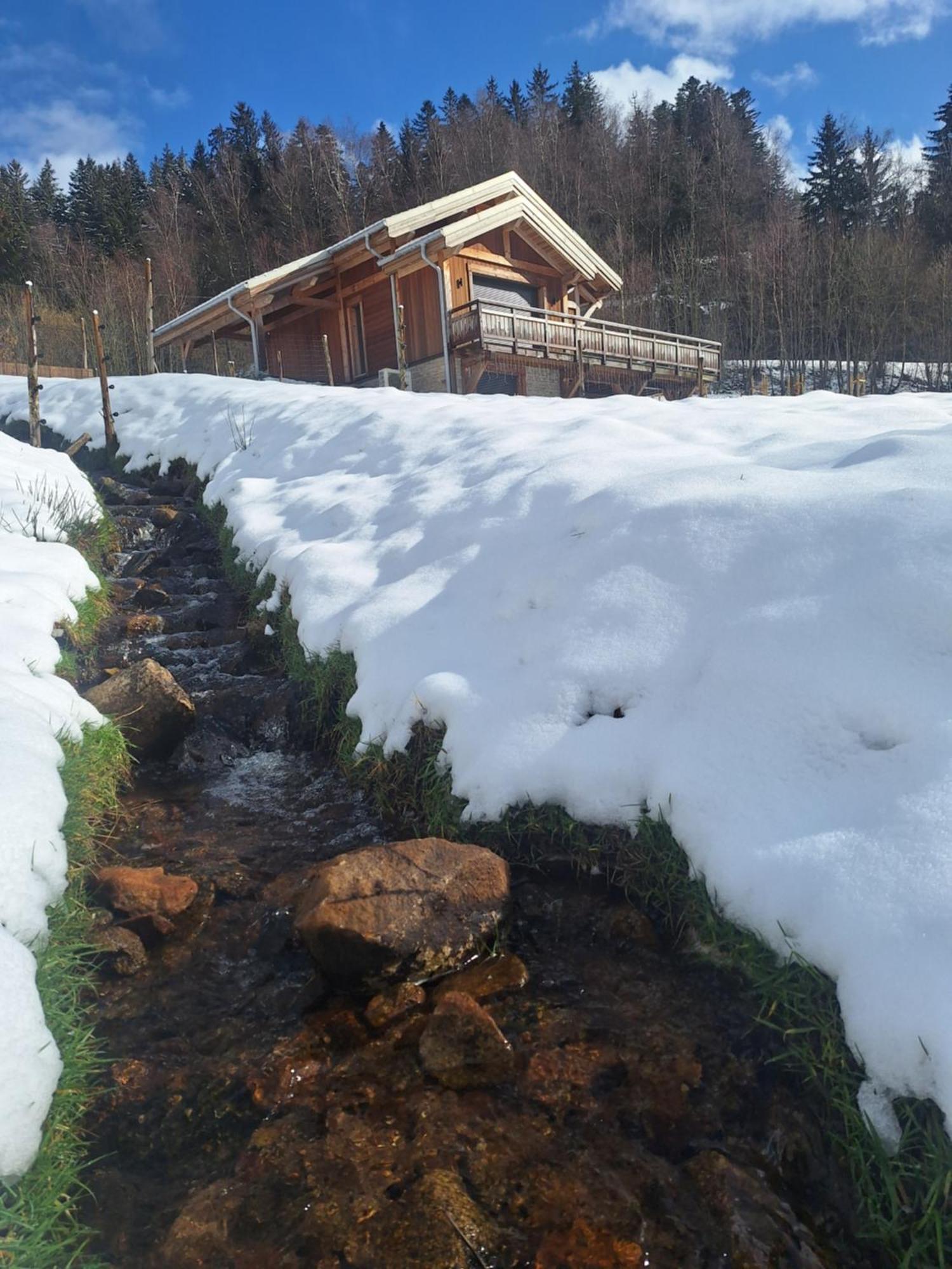 Chalet L'Appel De La Foret Gerardmer Luaran gambar
