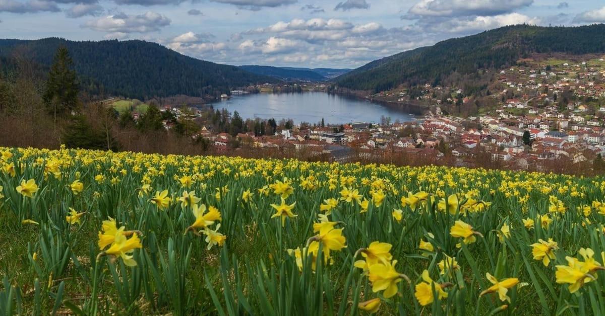 Chalet L'Appel De La Foret Gerardmer Luaran gambar